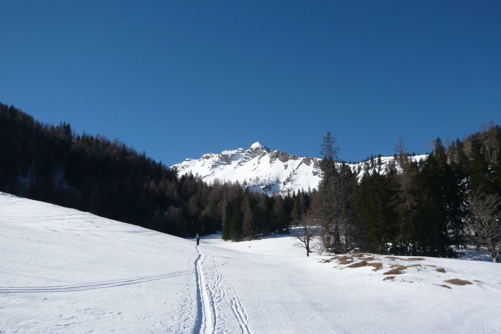 Prvá polovica túry je trochu nezáživné šliapanie po lesnej ceste. V počasí, aké bolo v nedeľu, aj to bola radosť. Kopec vzadu je Fadenkamp (1804 m),, cestou nazad sa dá urobiť odbočka na jeho prudko lyžovateľné svahy.