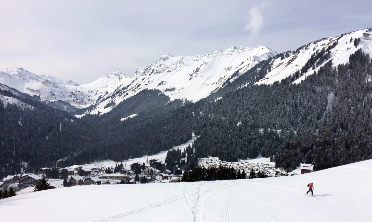 Morgins