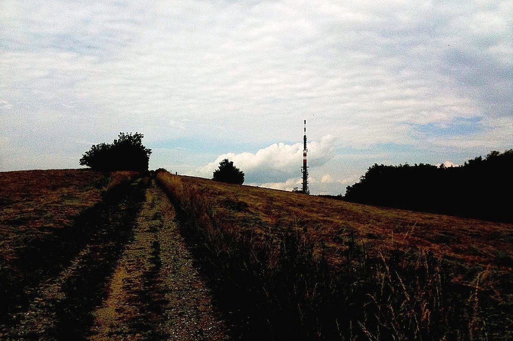 Tesne pred vrcholom Veľkej Javoriny