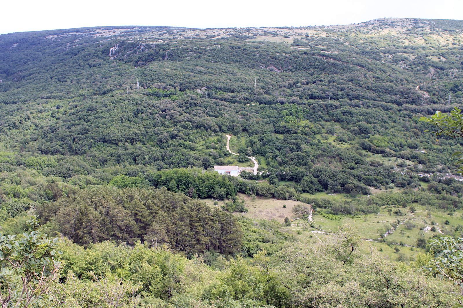 Portafortuna