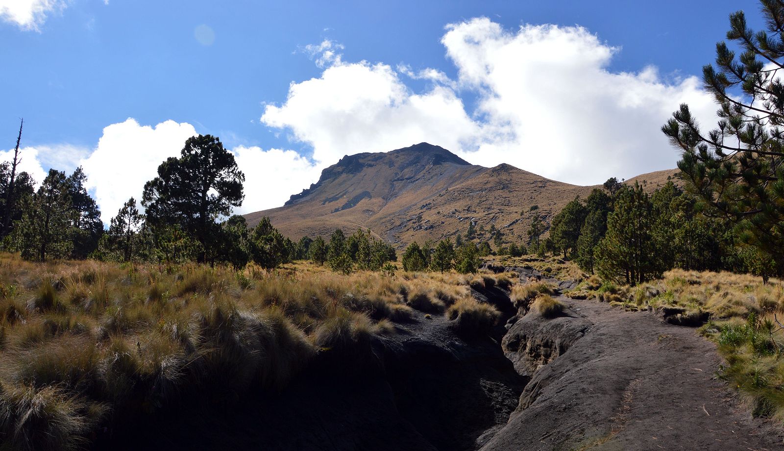 Pred sebou vidíme La Malinche 4462 m, ideme naň z Il Malintzi 3083 m. Je to naša prvá aklimatizácia.