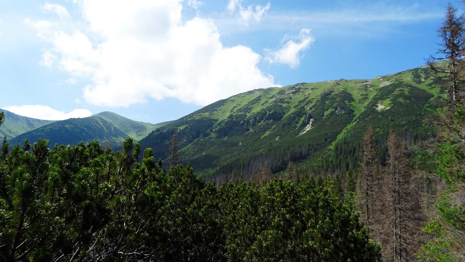 Liptovské kopy