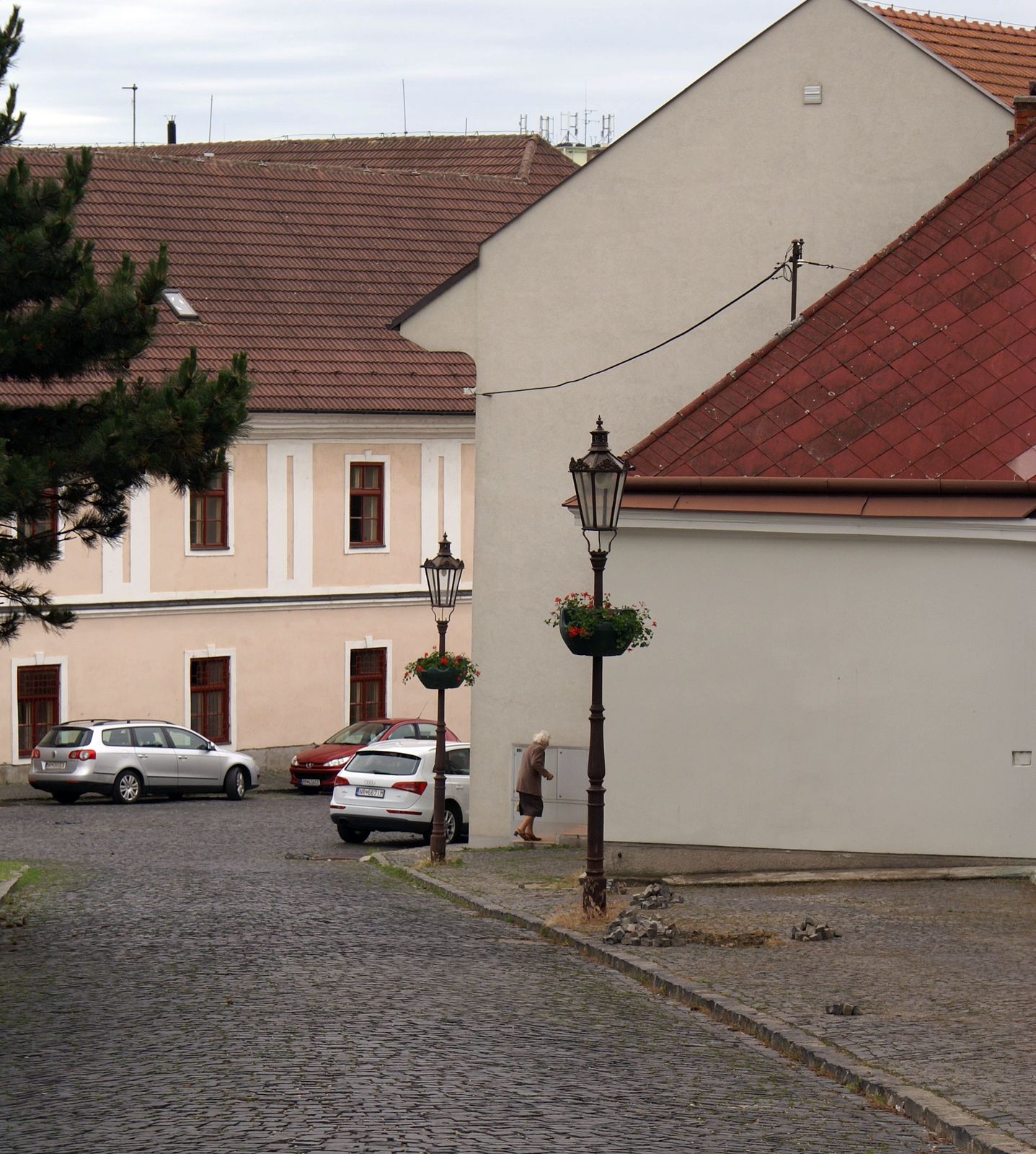 SONY DSC