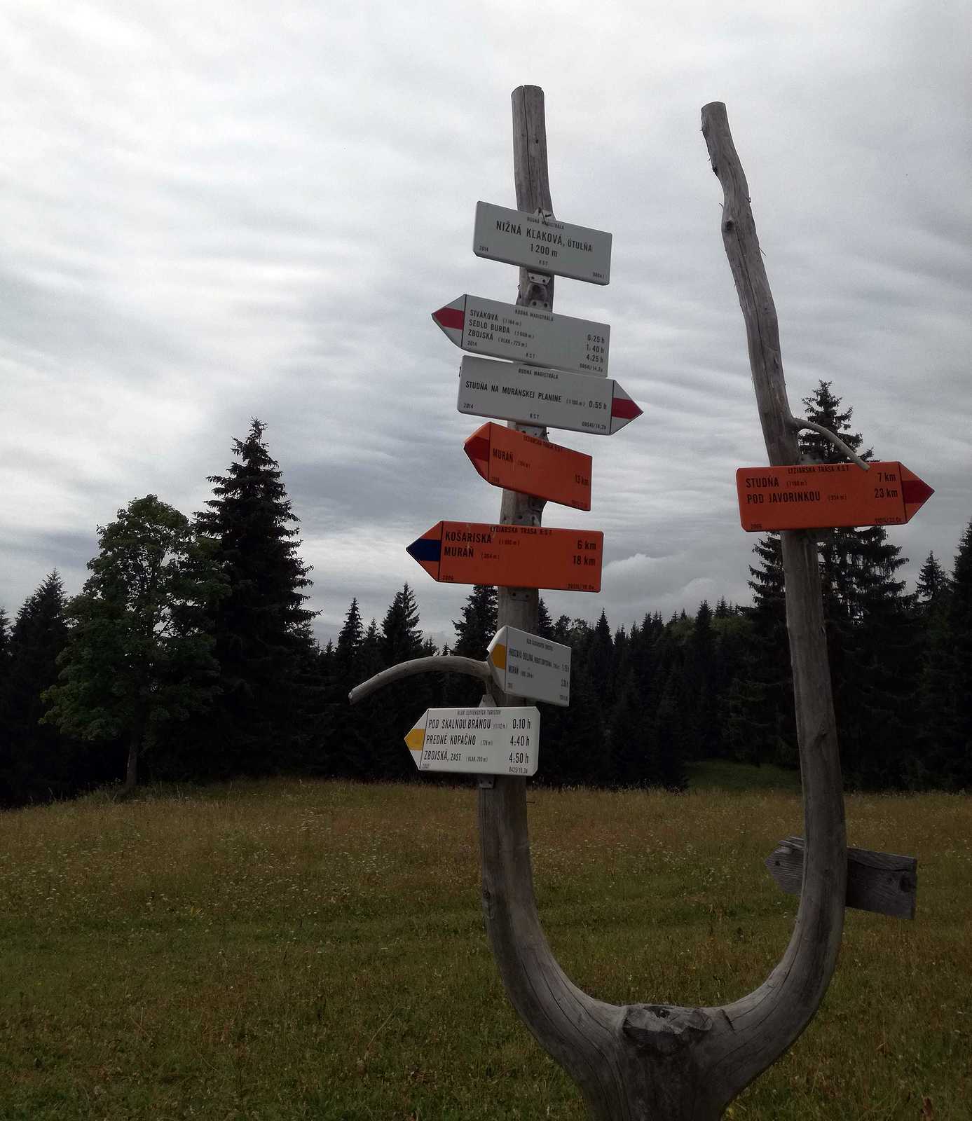 dav