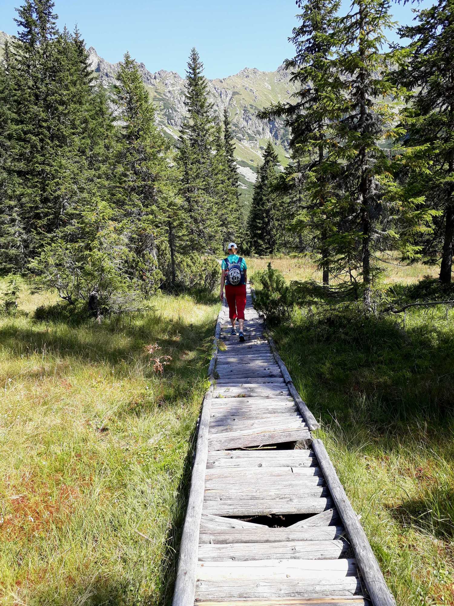 Pod Temnými smrečinami