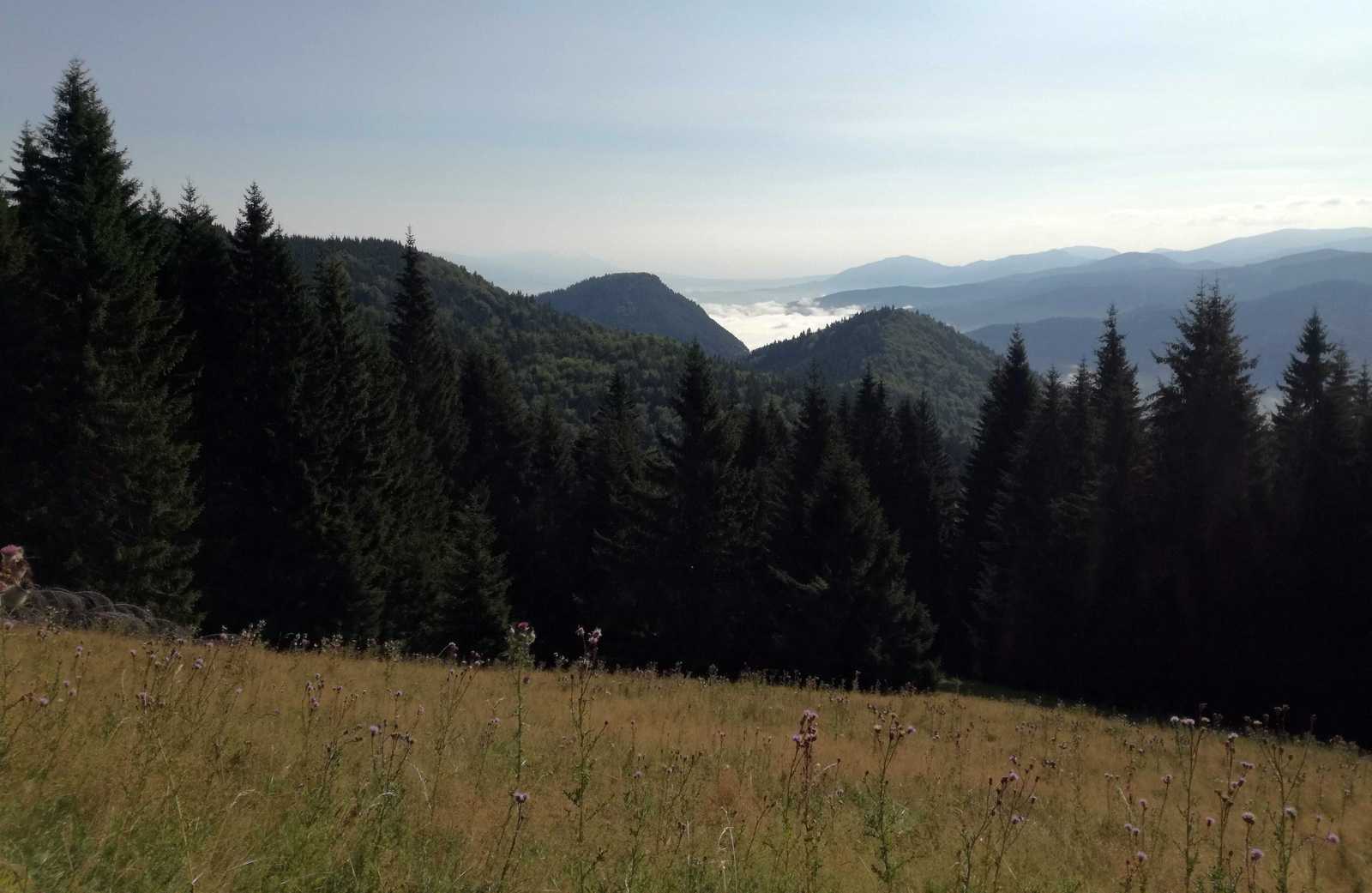 Pohľad do Liptovskej kotliny