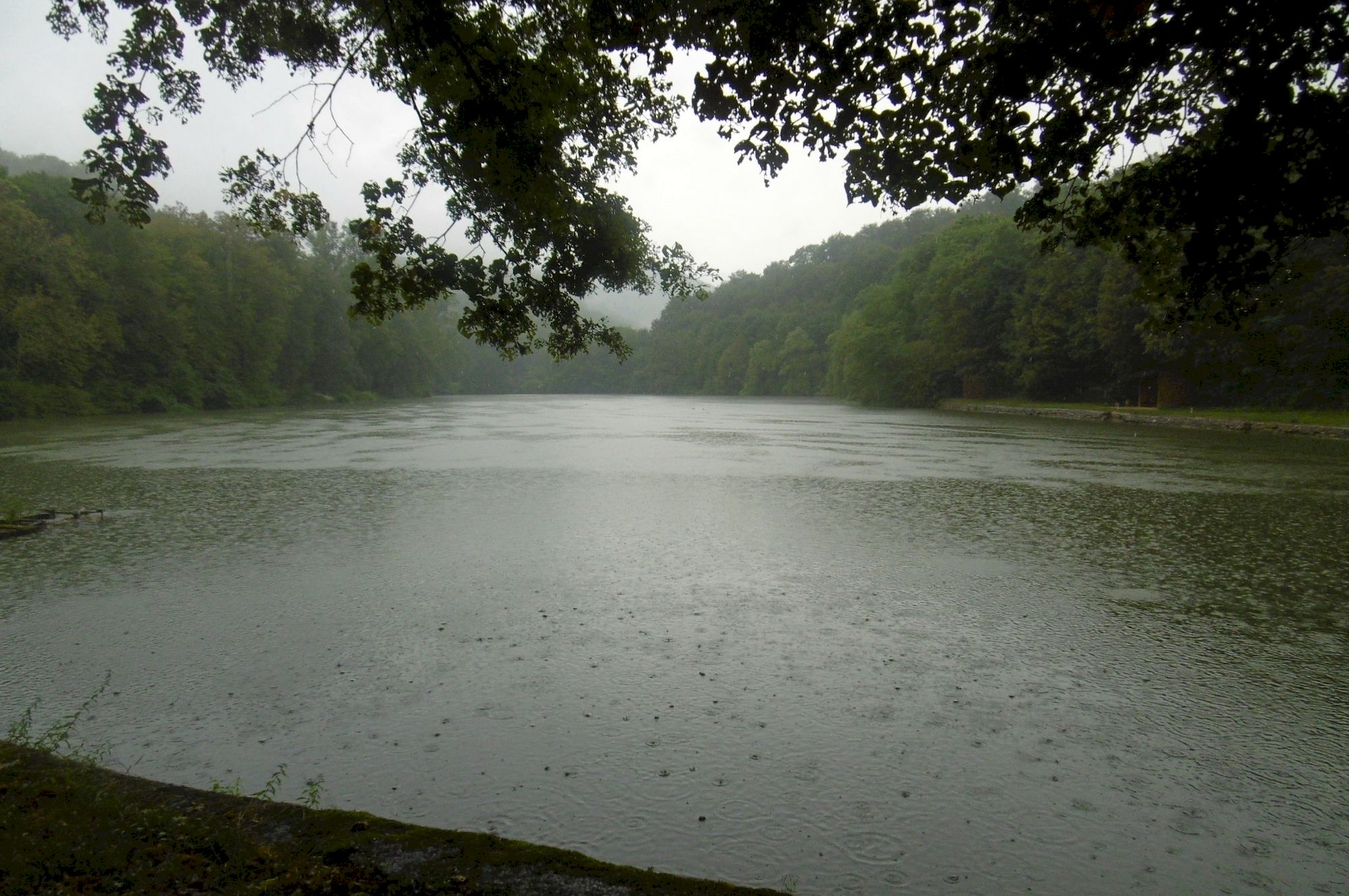 Jasovský rybník Jasovský rybník