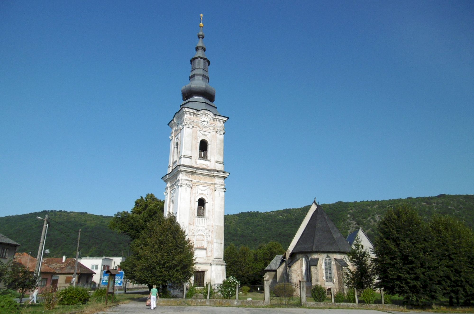 Plešivec