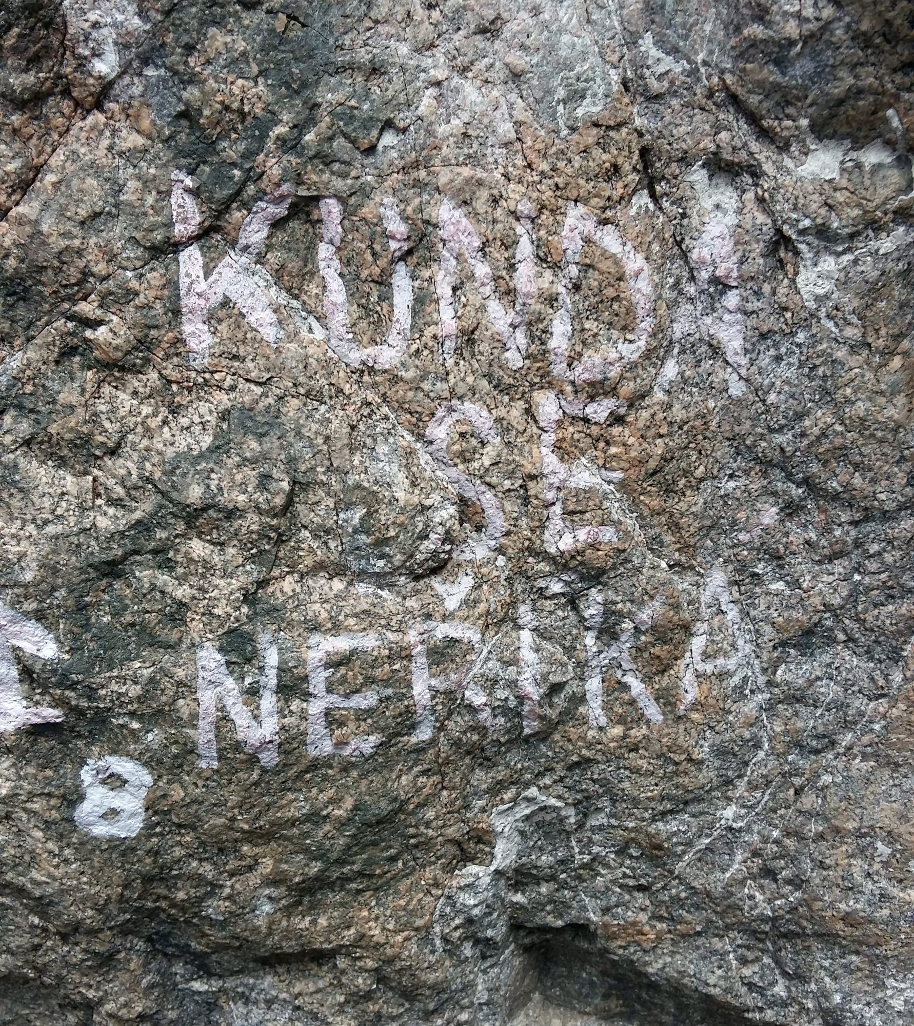 03 Roviště