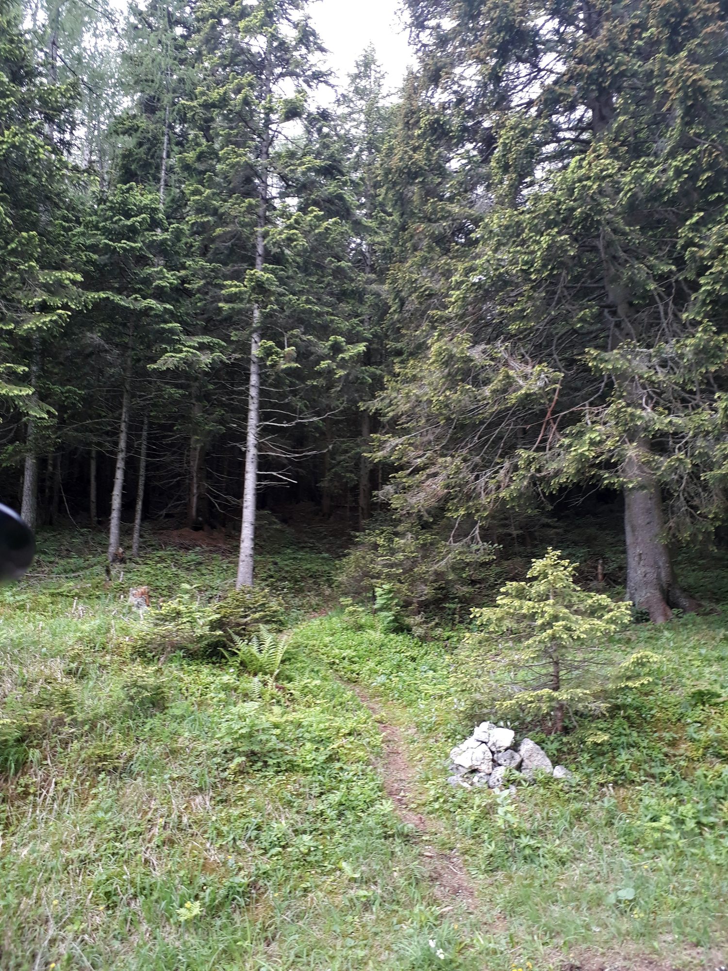 Kamenný mužík - Steinman