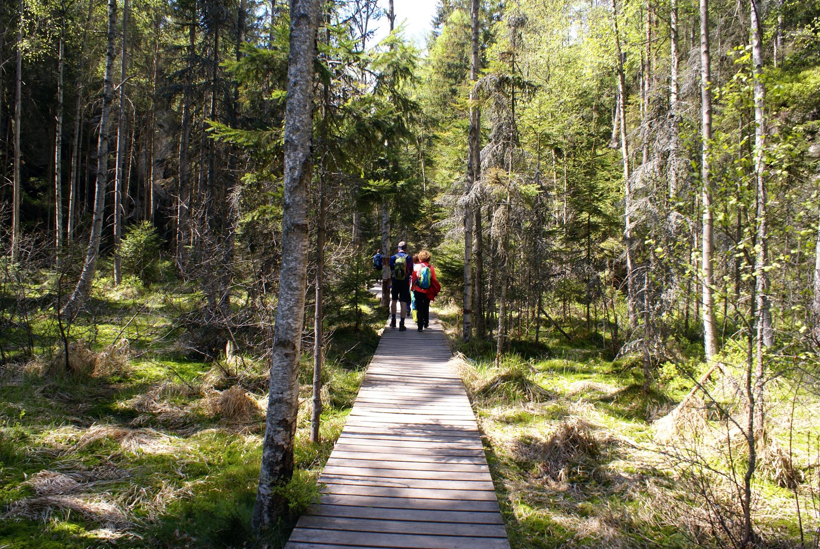 Adršpach 15