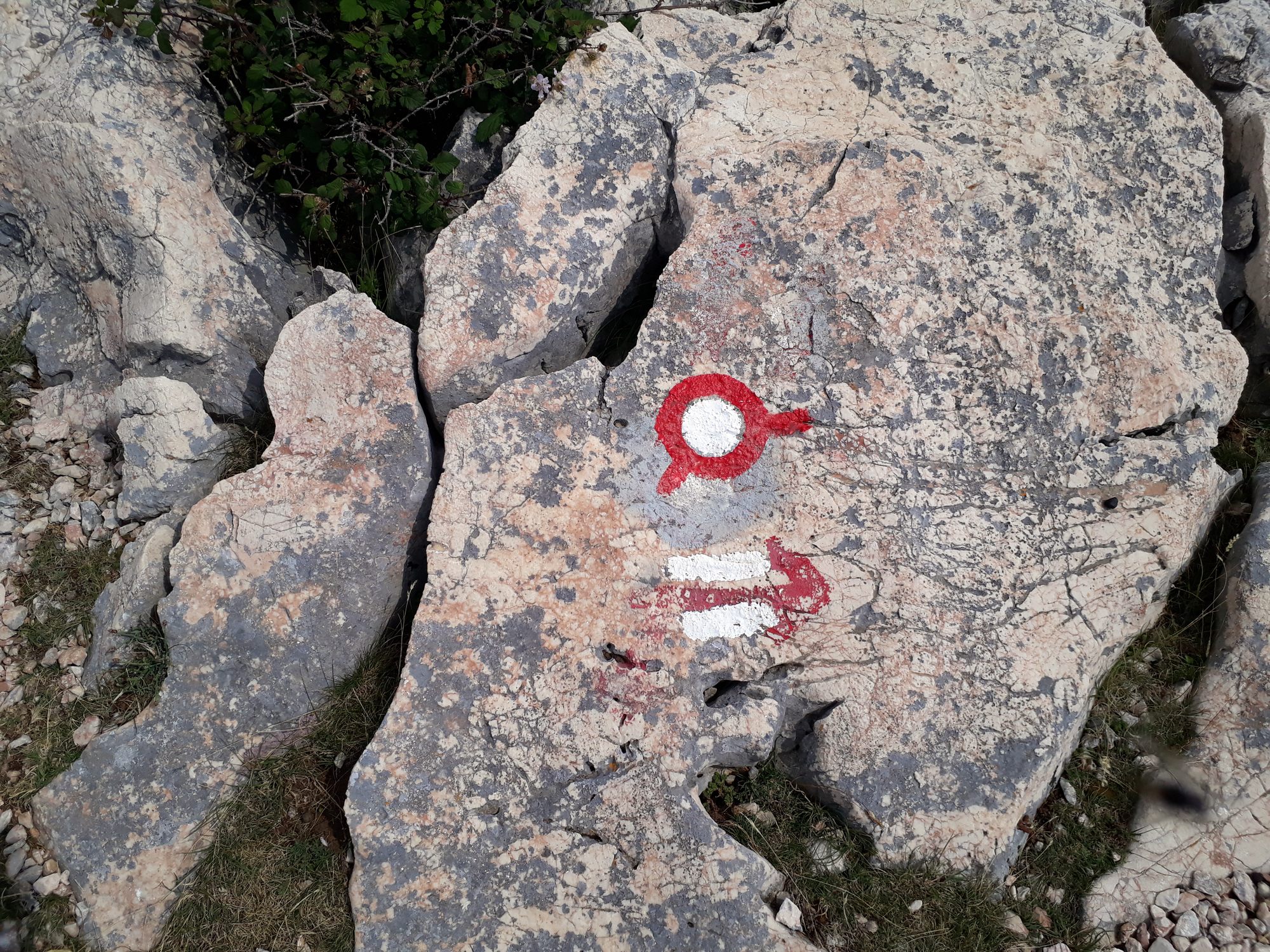 26 Konkurenčné značenie