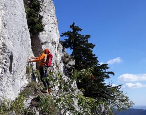 Hohe Wand - Neuer Innerkoflersteig