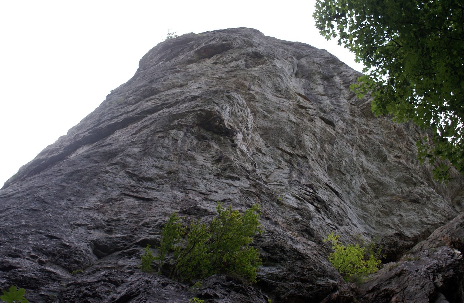 zadiel 17