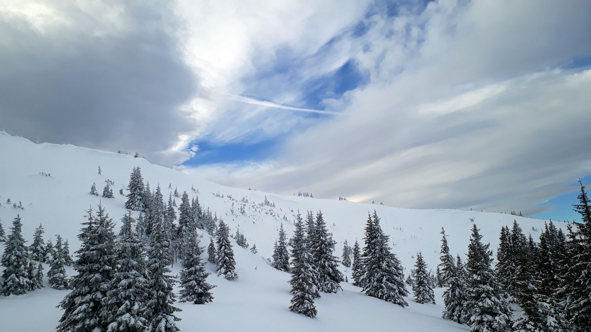 Severné svahy nad hranicou lesa