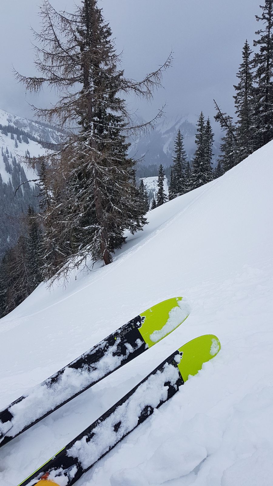 09 Powder 2 09 Powder 2
