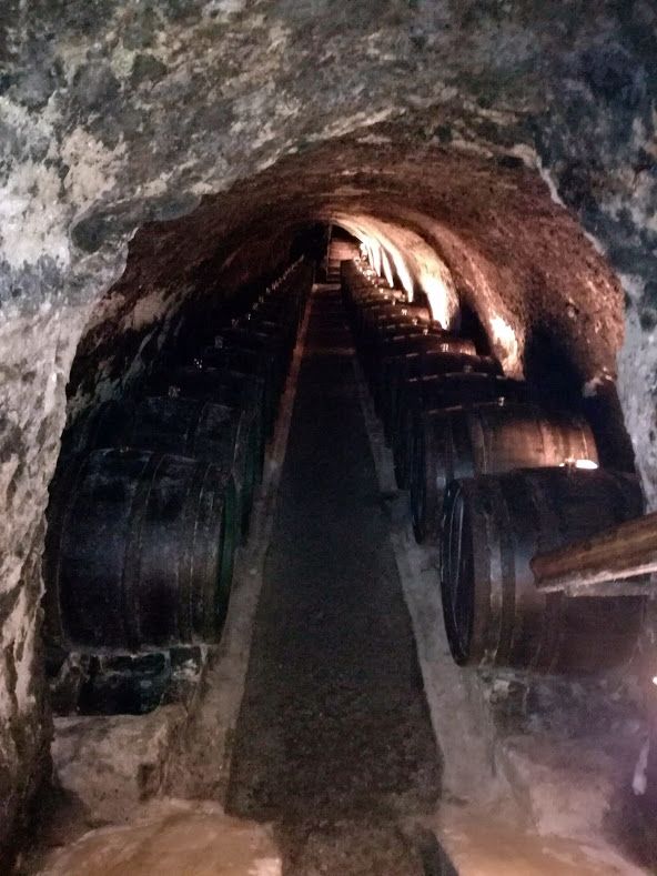 15 Pivnica Tokaj and comp3