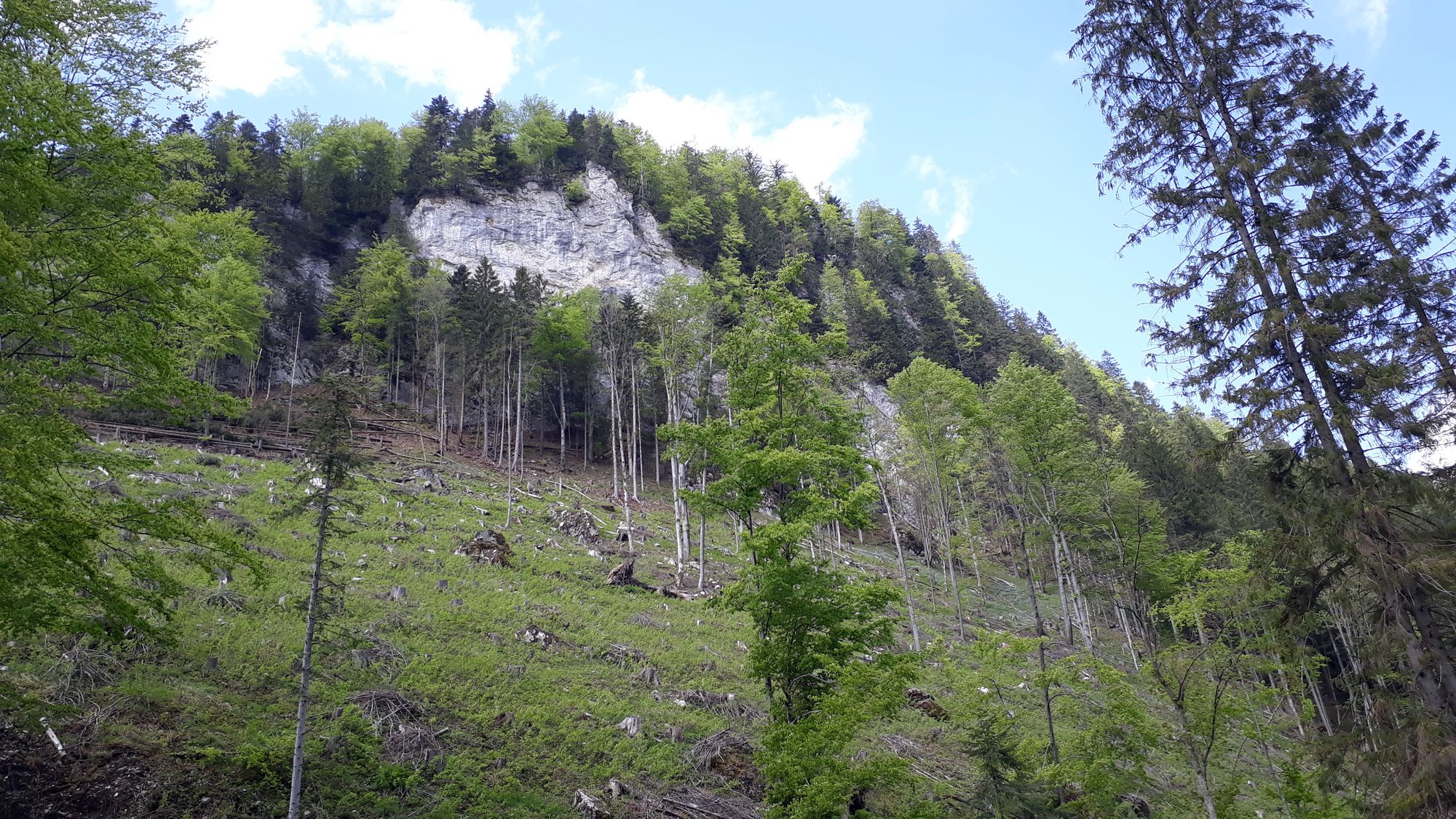 Holoruby v Dedošovej doline