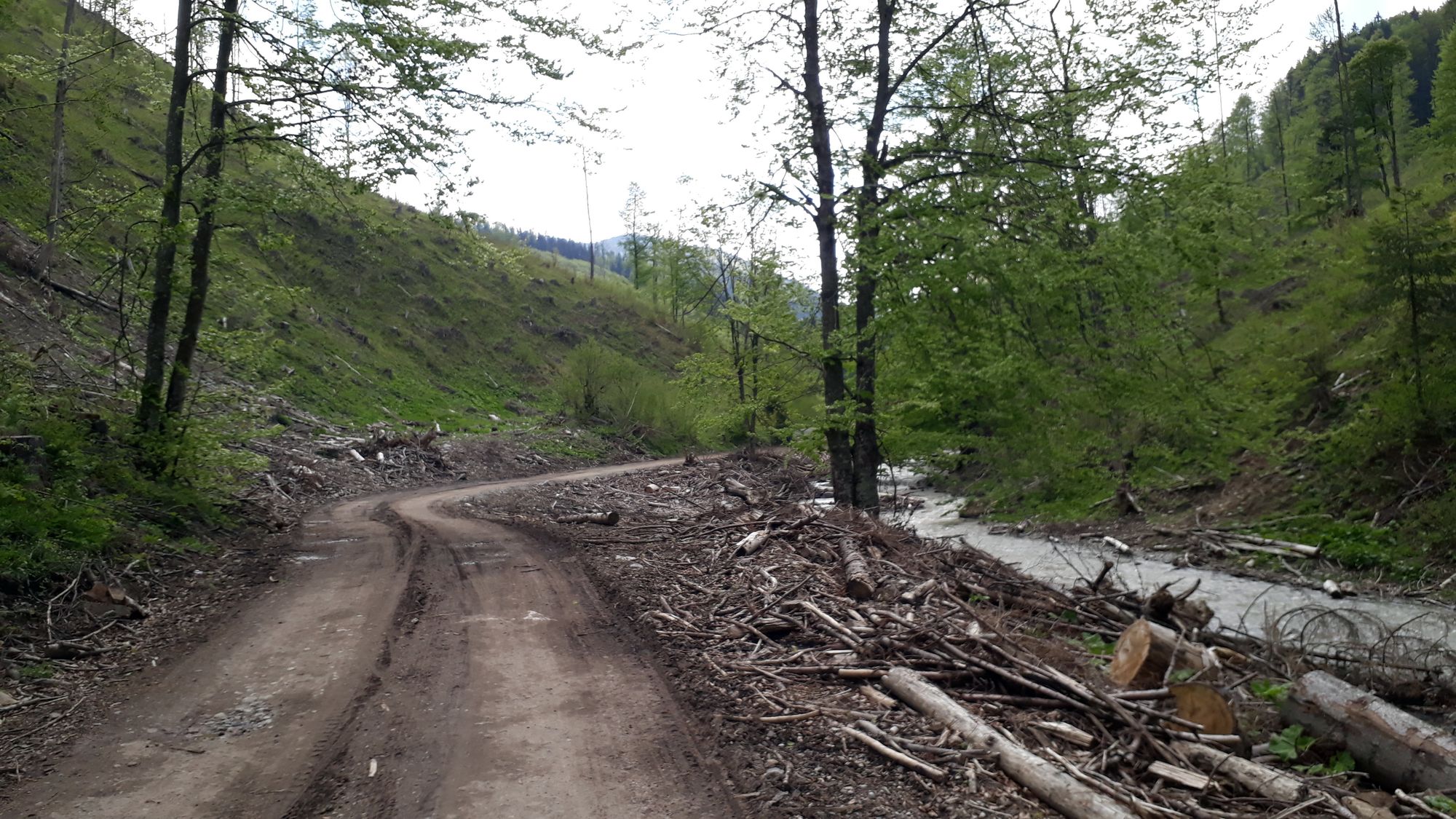 Holoruby v Dedošovej doline