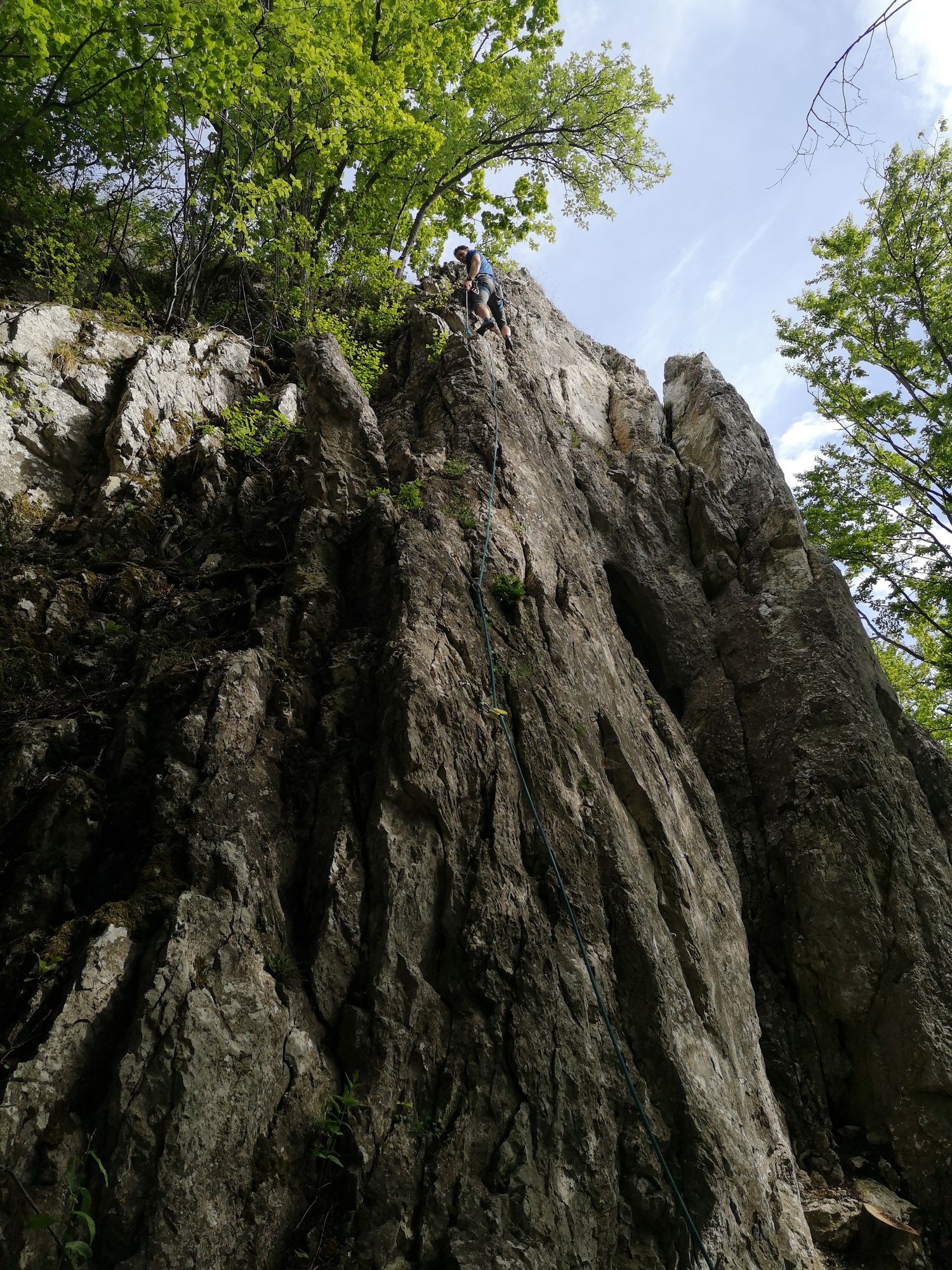 Jelenia skala 5