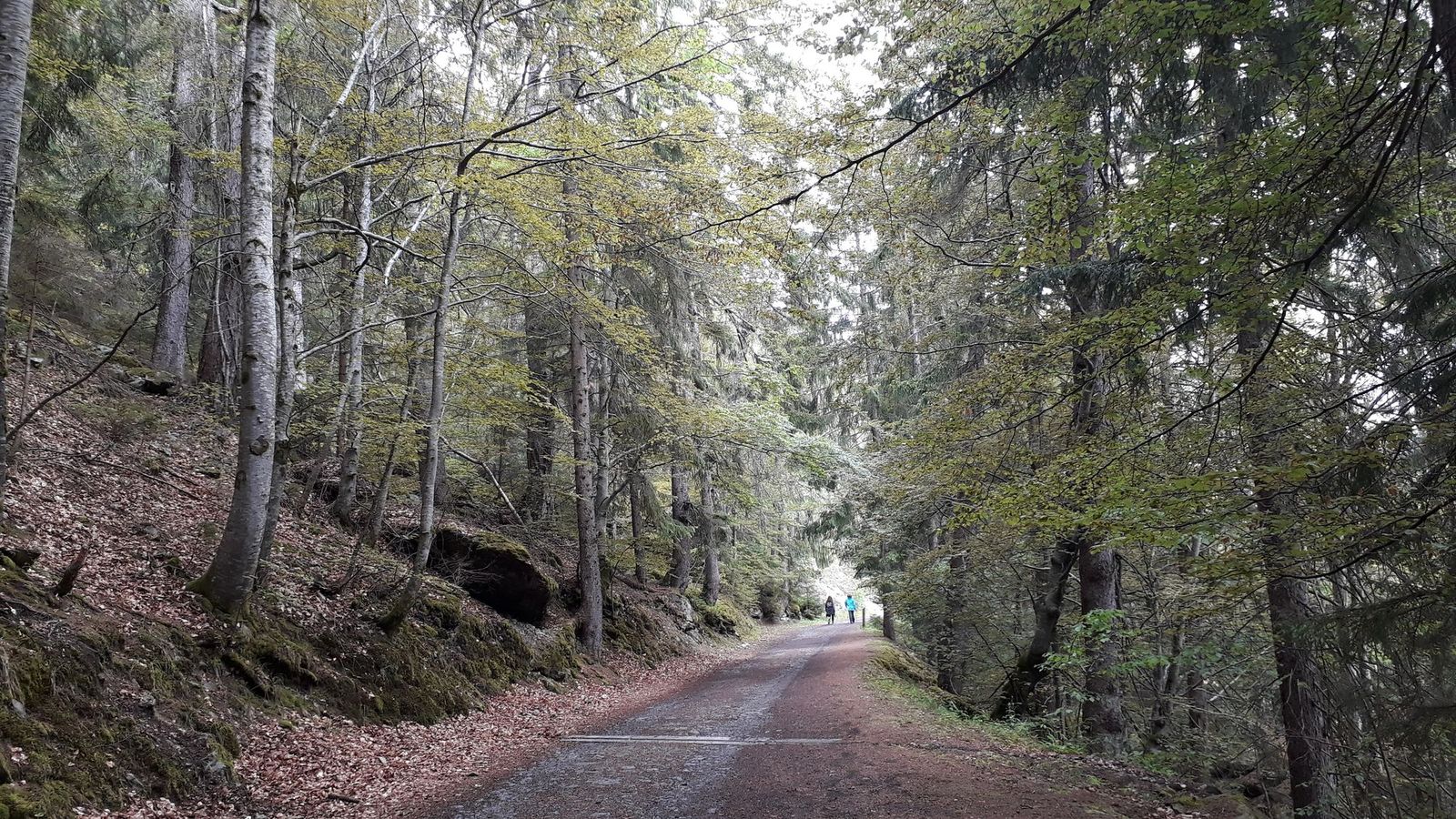 01 Gorges du Dailley