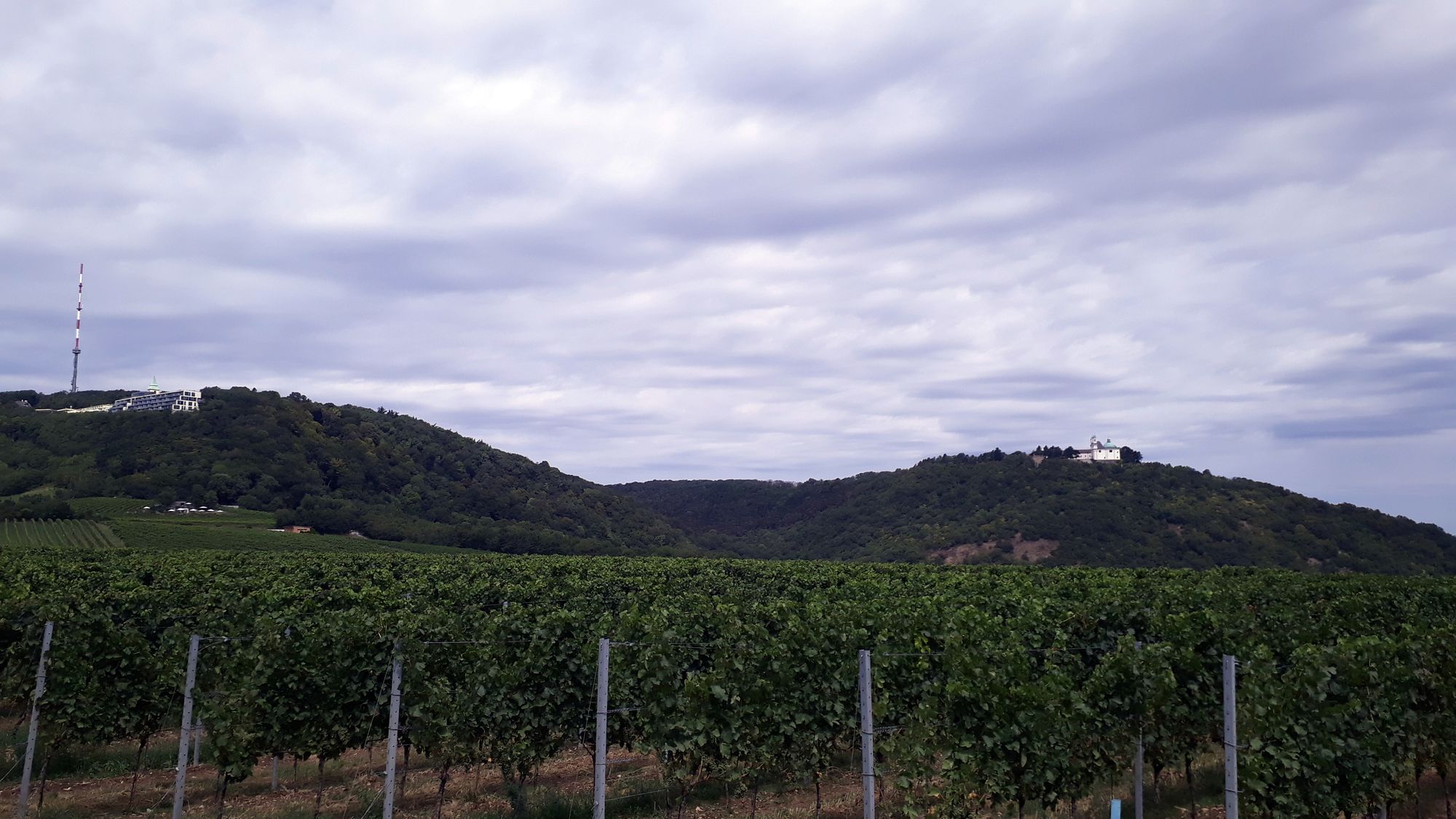 04 Vľavo Kahlenberg vpravo Leopoldsberg