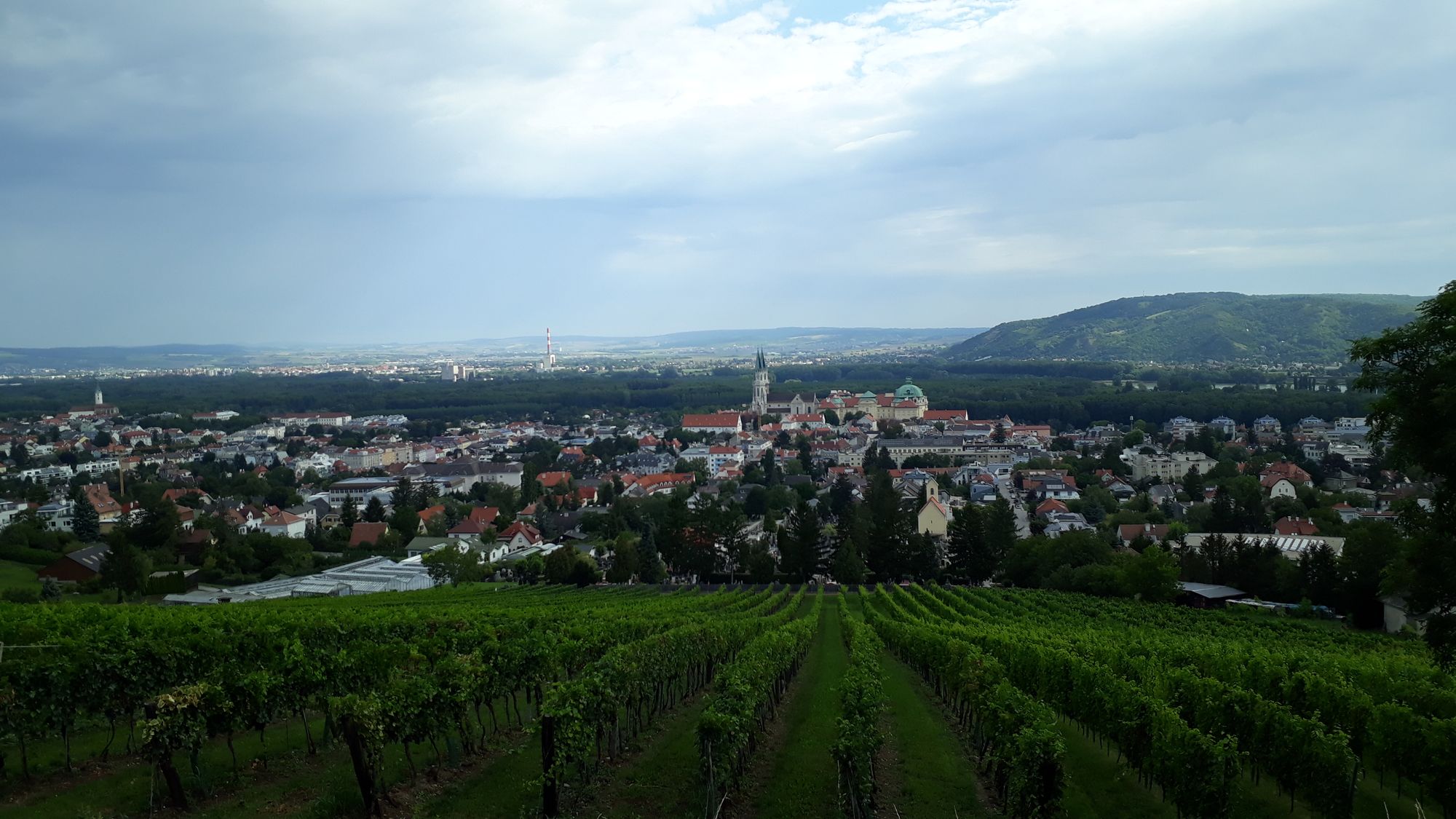 05 Viedenské vinohrady