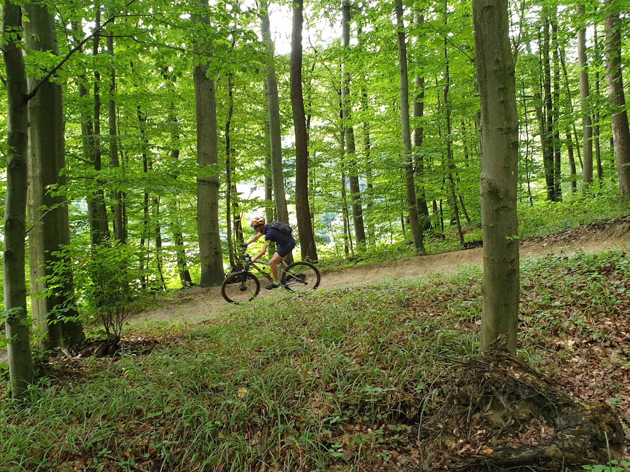 10 Flow trail Weidlingbach