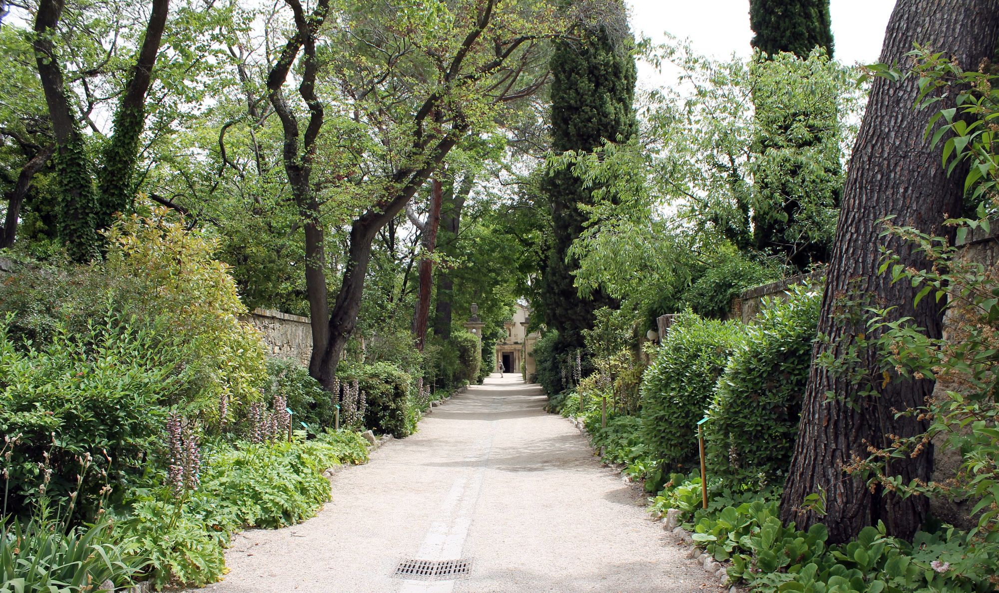 14 Saint Paul de Mausole
