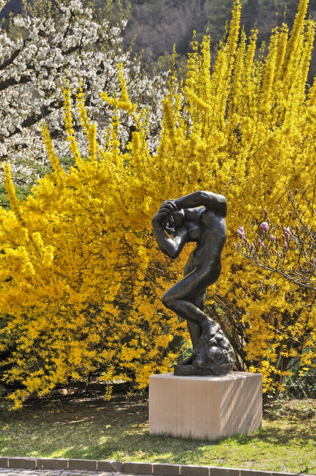 16 Fondation Pierre Gianadda Rodin v zahrade soch
