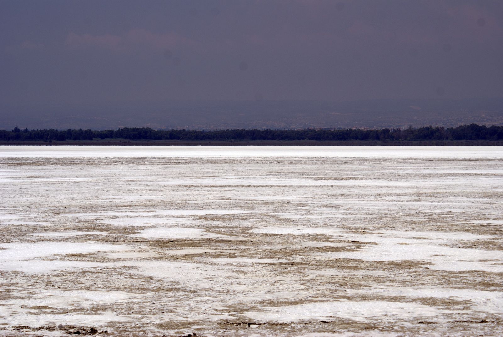 19 Limassol Salt lake