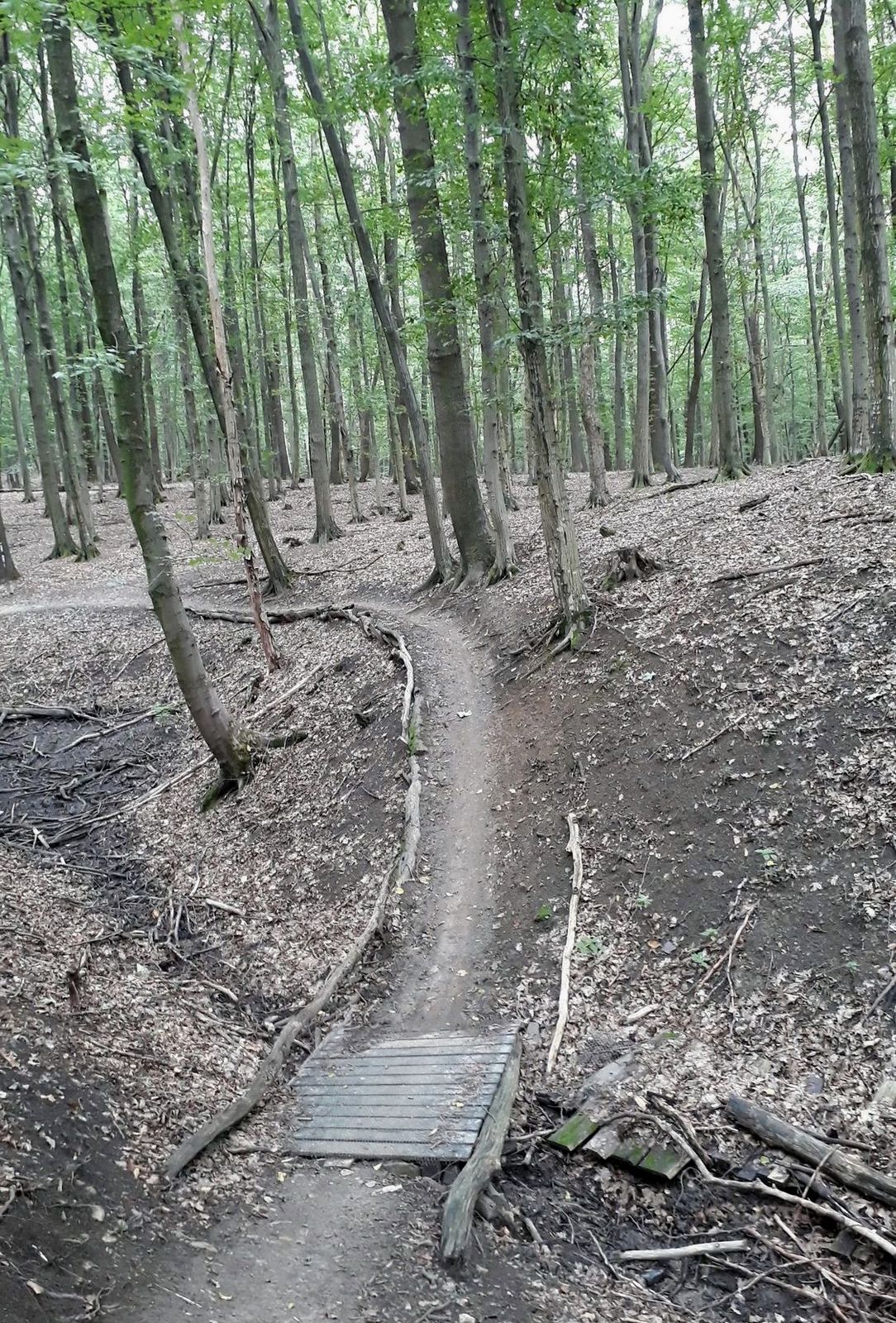 01 Bike Aréna Zlatnícka dolina