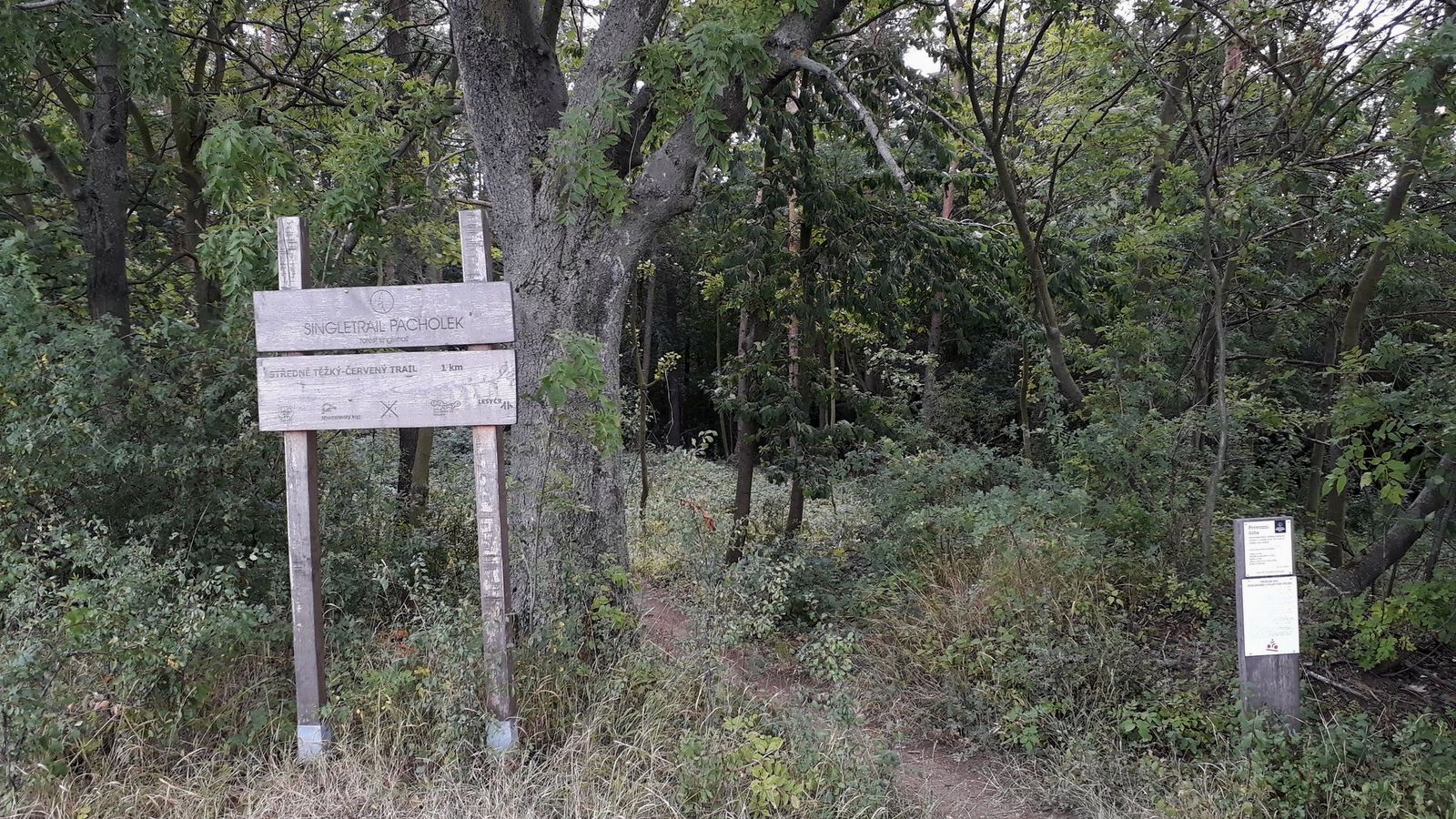16  Singletrail pacholek