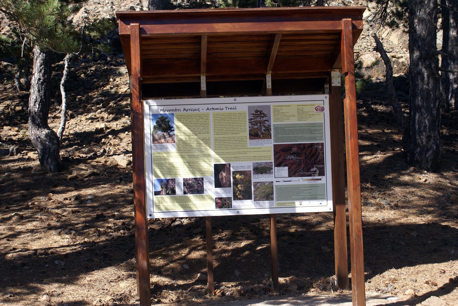36 Troodos