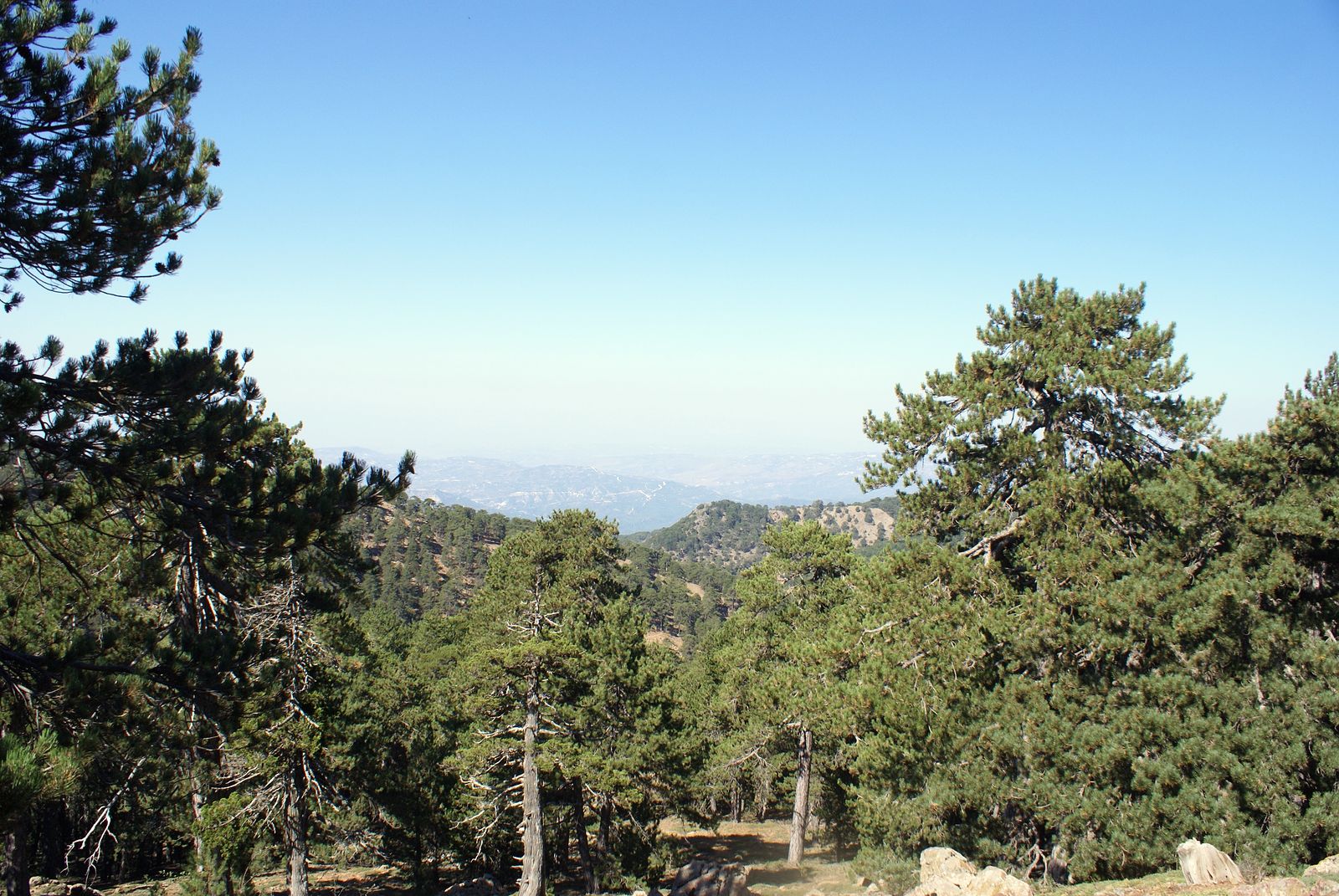 37 Troodos