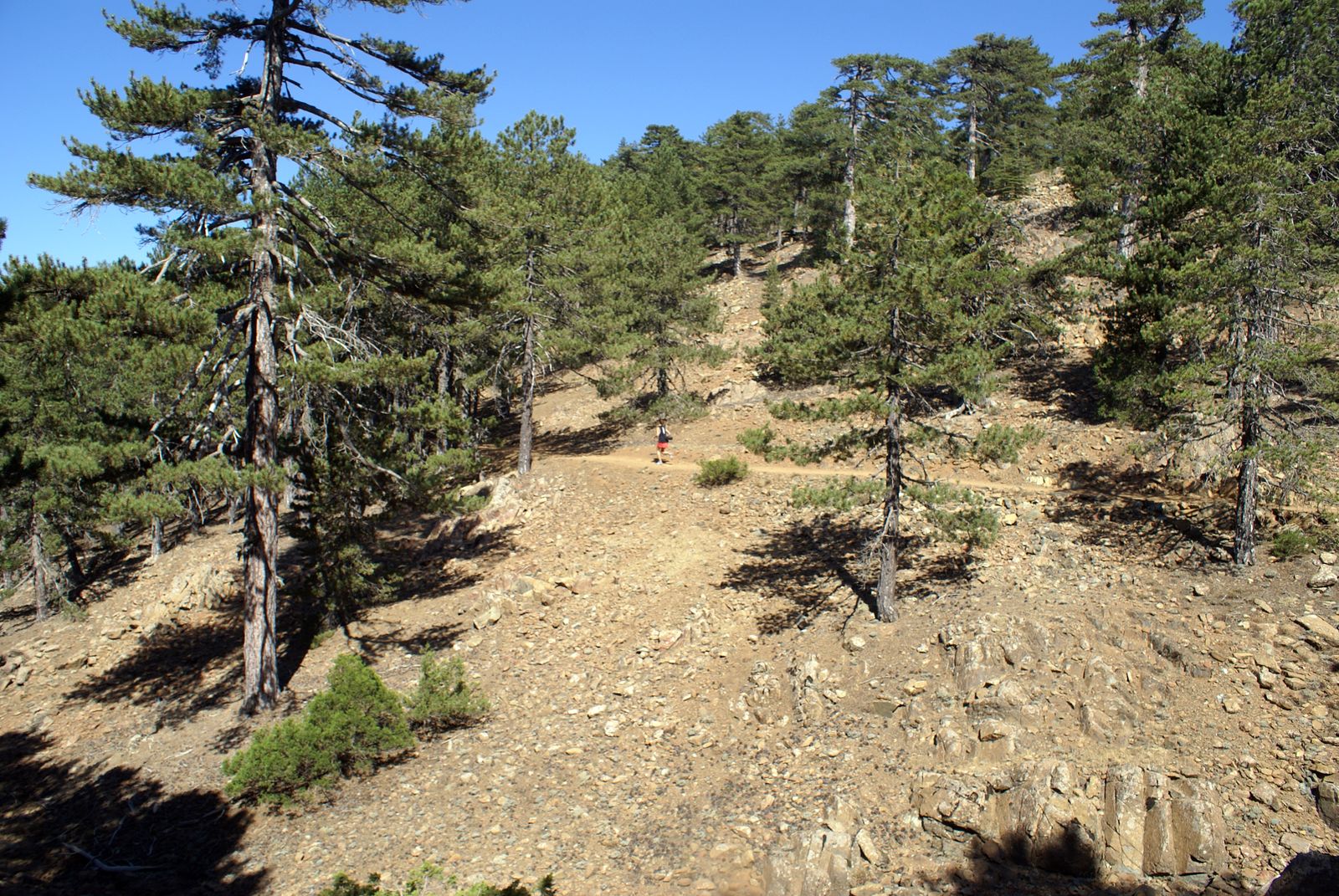 39 Troodos