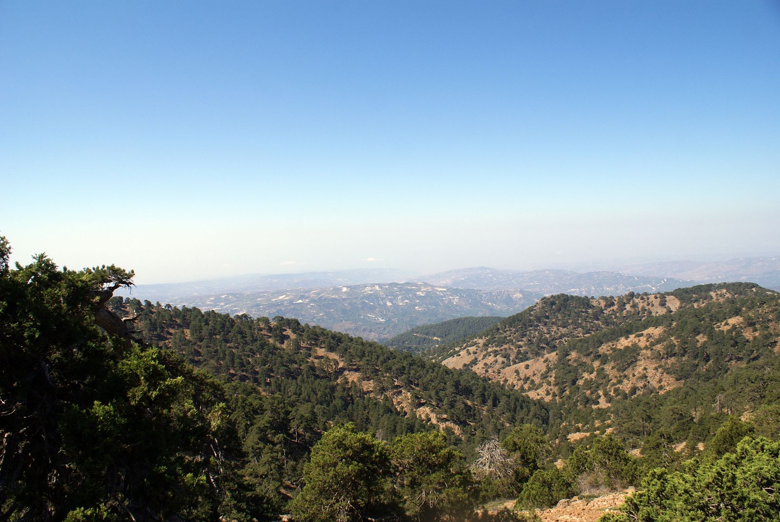 40 Troodos