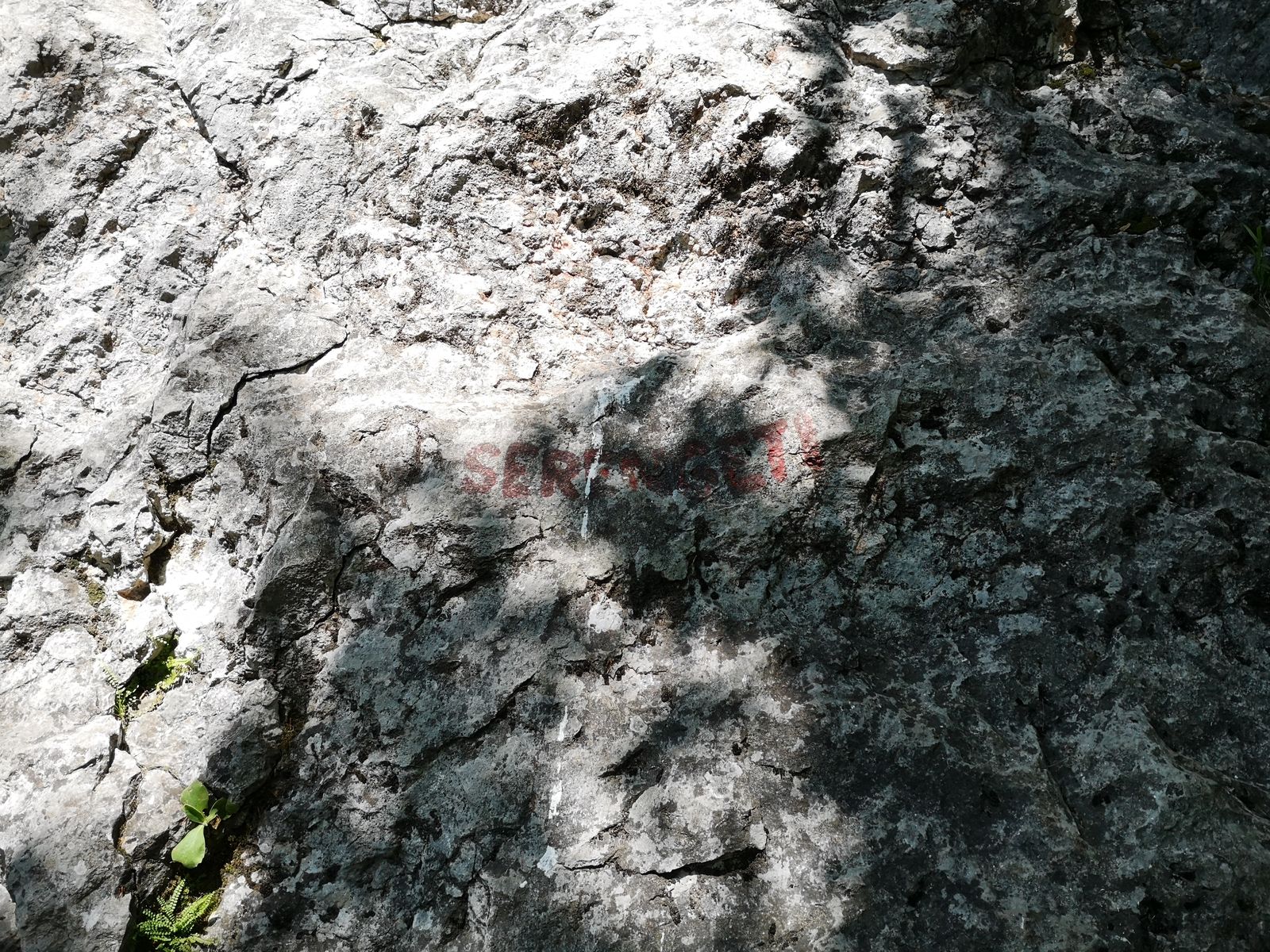 04 Rote Wand začiatok vedľajšej cesty Serengeti
