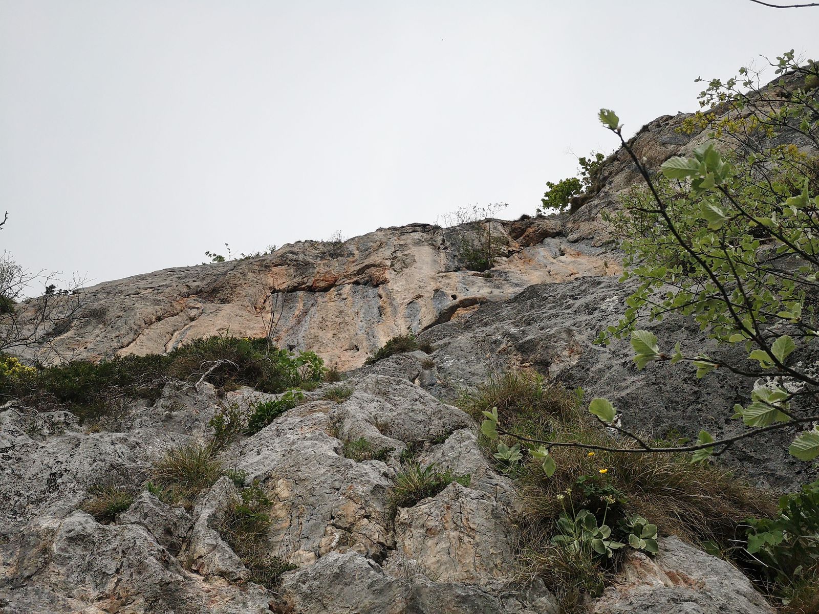 12 Rote Wand poslednа dlzka