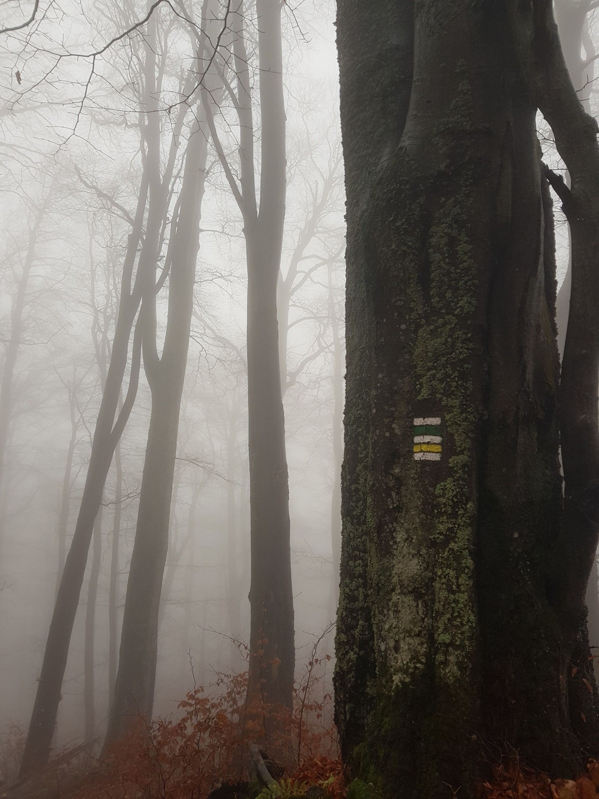 23 ústup na Staré hory