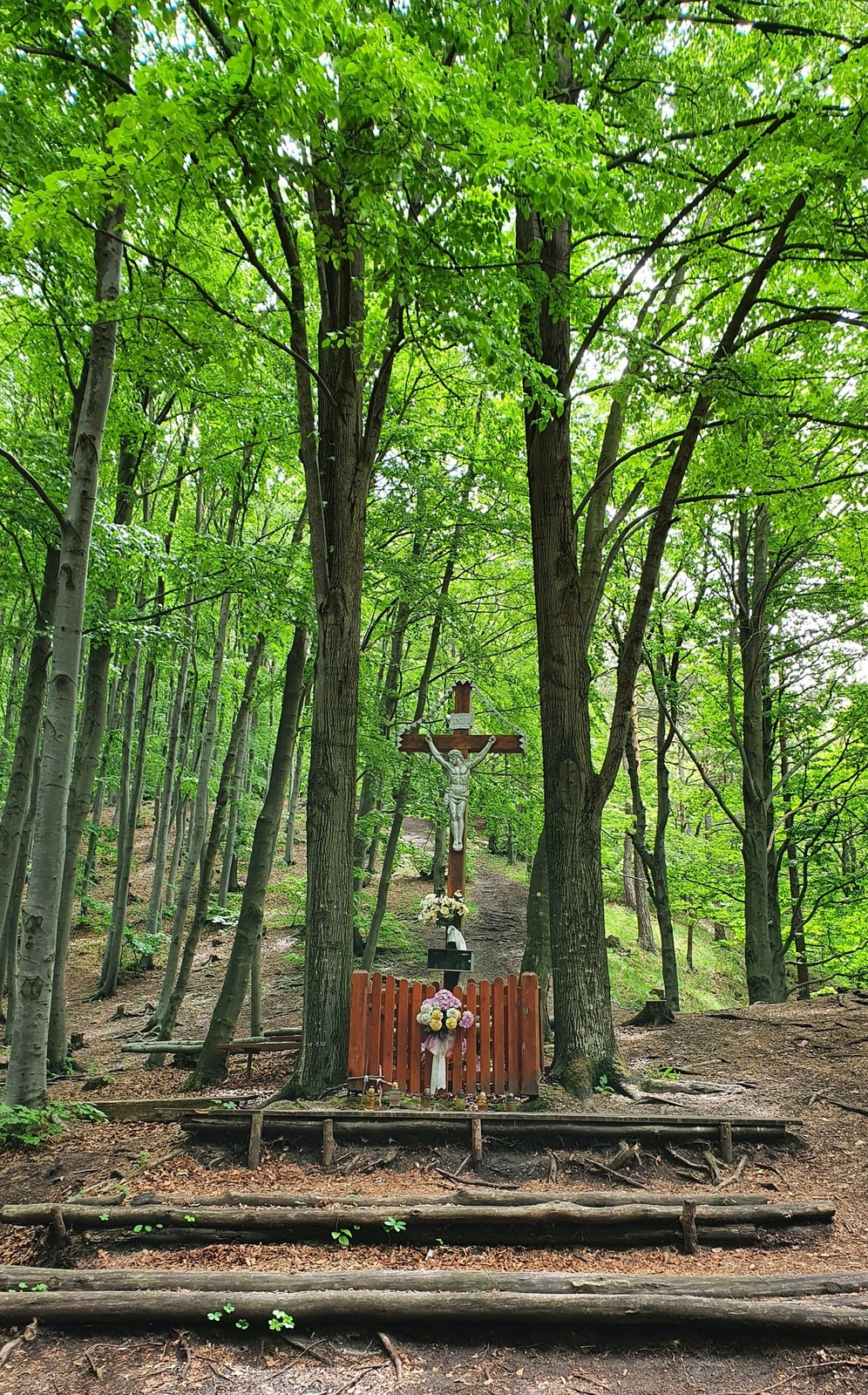 07 MTB Súľovské vrchy - Roháčske sedlo