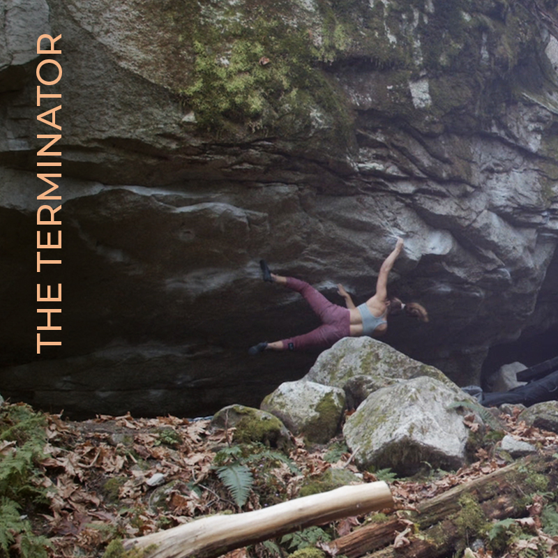 The Terminator Square