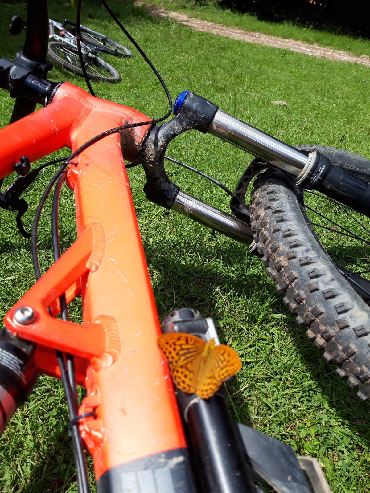 02 Z BA na Bradlo na bicykli nový kamarát
