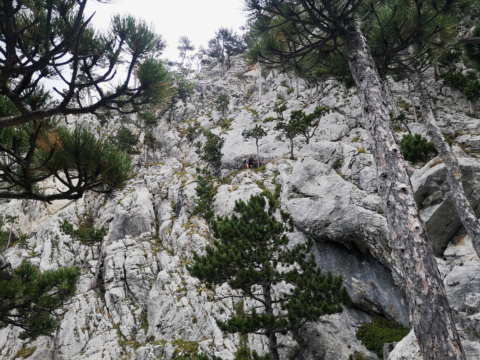 Himmelsleiter 12 10 dlžka