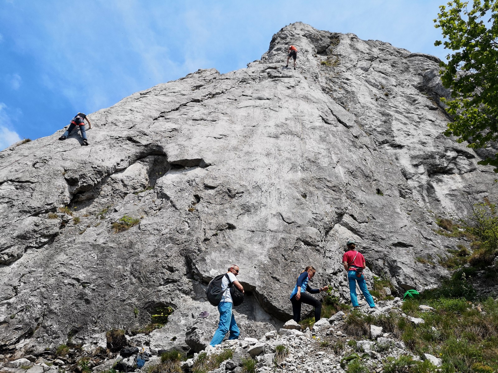 Krslenica sektor Hrad 1