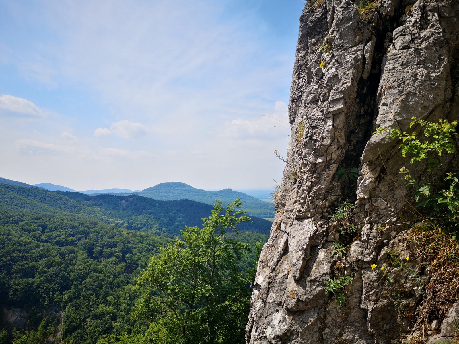 Krslenica sektor Hrad 2 Plavecký hrad