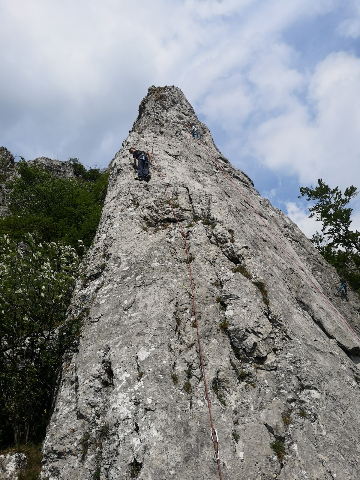 Krslenica sektor Hrad 8 cesta Nech sa páči Krslenica sektor Hrad 8 cesta Nech sa páči