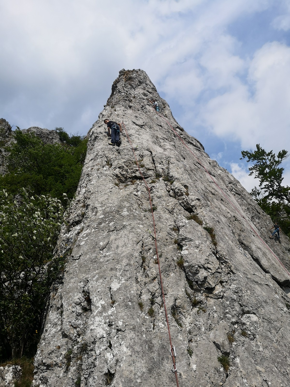 Krslenica sektor Hrad 8 cesta Nech sa páči