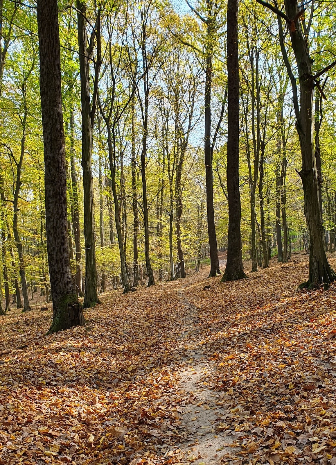 06 Cyklotrasa Považský Inovec