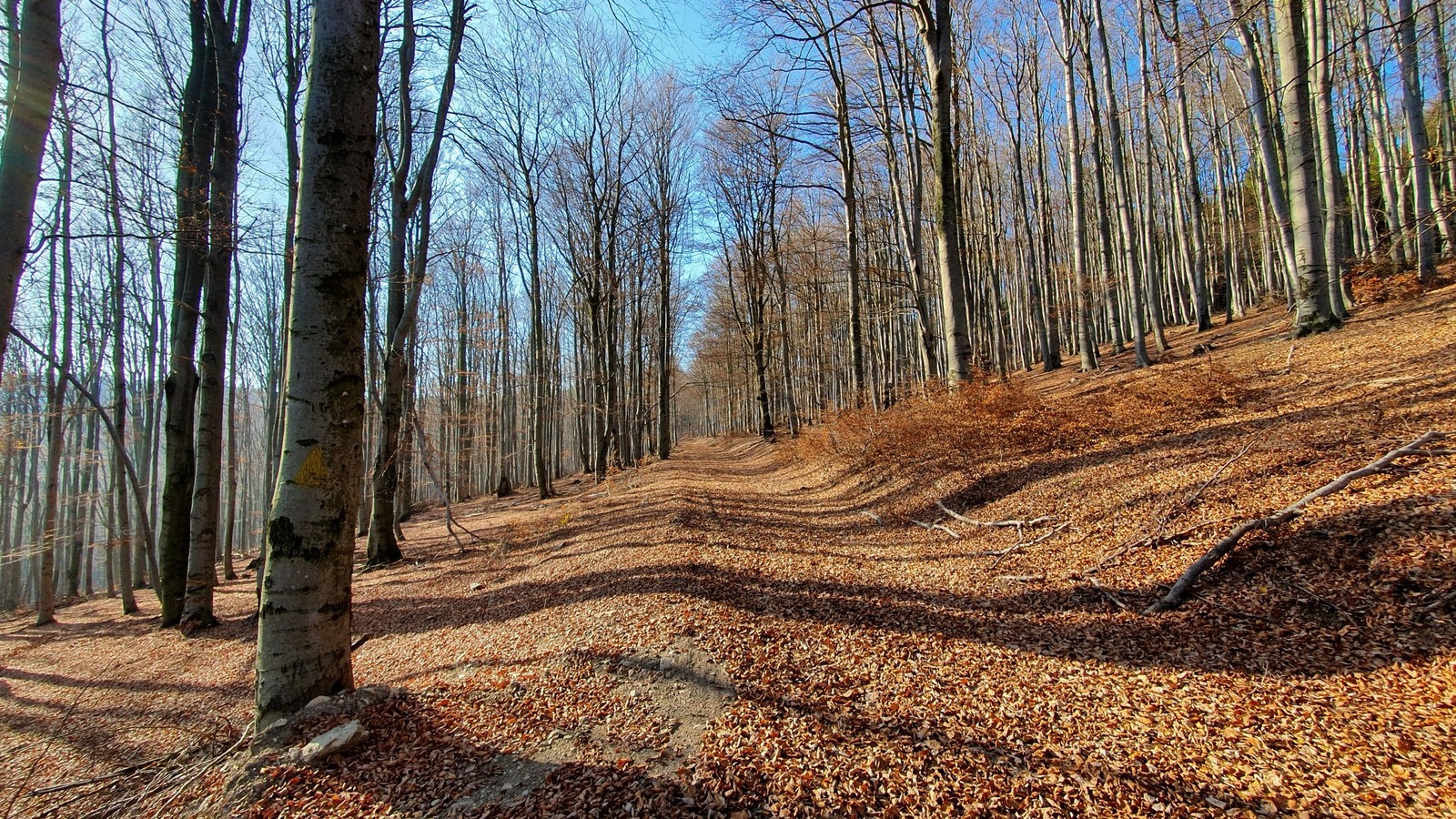 09 Cyklotrasa Považský Inovec